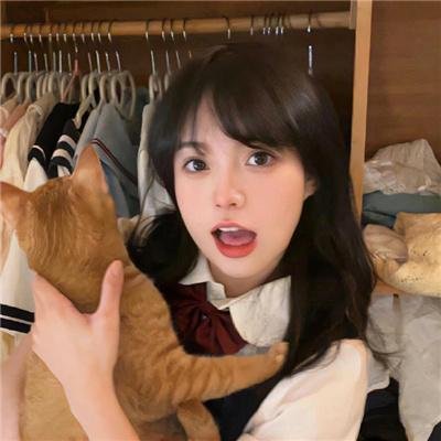 红松鼠